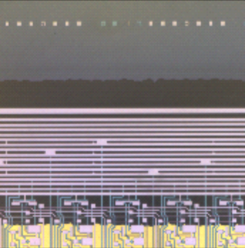 OLED-膠寬檢測